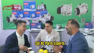 Team di professionisti delle parti automobilistiche del condizionamento d'aria di Guangzhou Weixing